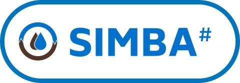 SIMBA-Treffen